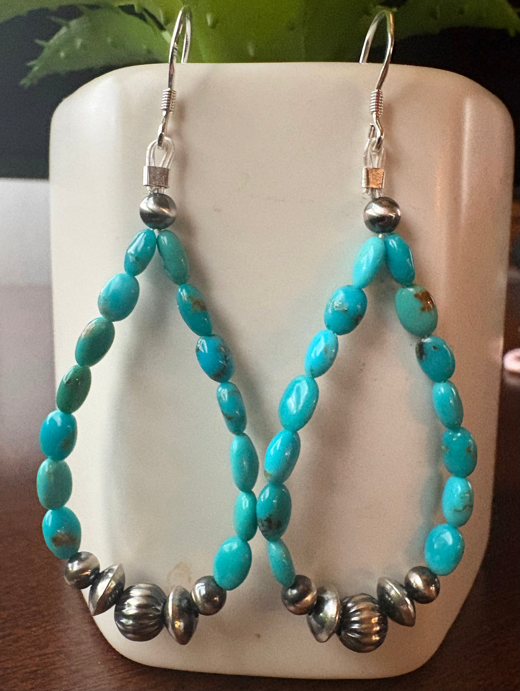 Sonoran Mountain Dangle Earrings