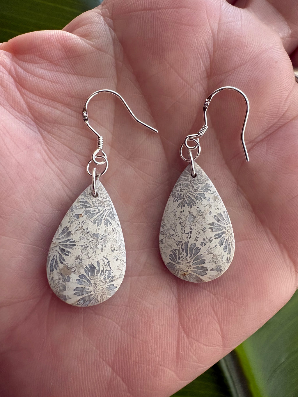 Fossil Coral Earrings