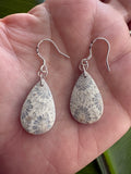Fossil Coral Earrings