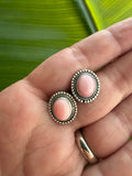 Pink Conch Stud Earrings