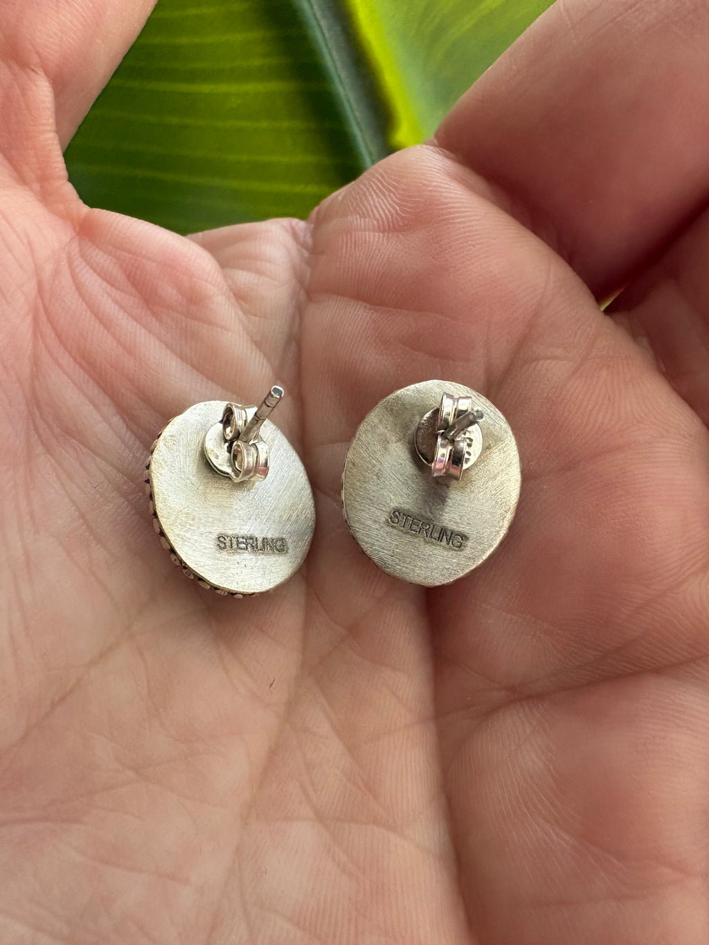Pink Conch Stud Earrings