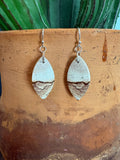 Picture Jasper Dangle Earrings
