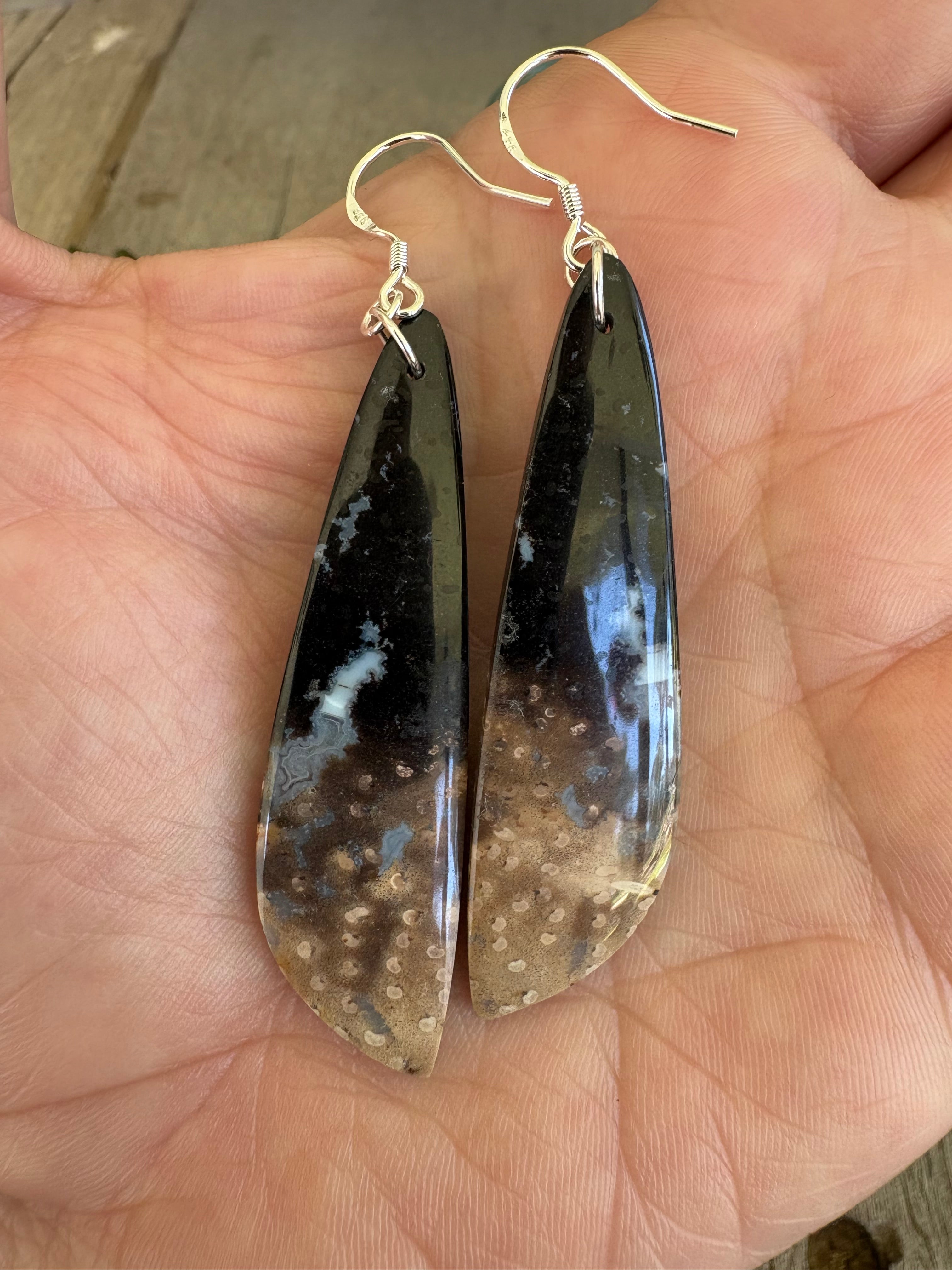 Petrified Palm Root Dangle Earrings